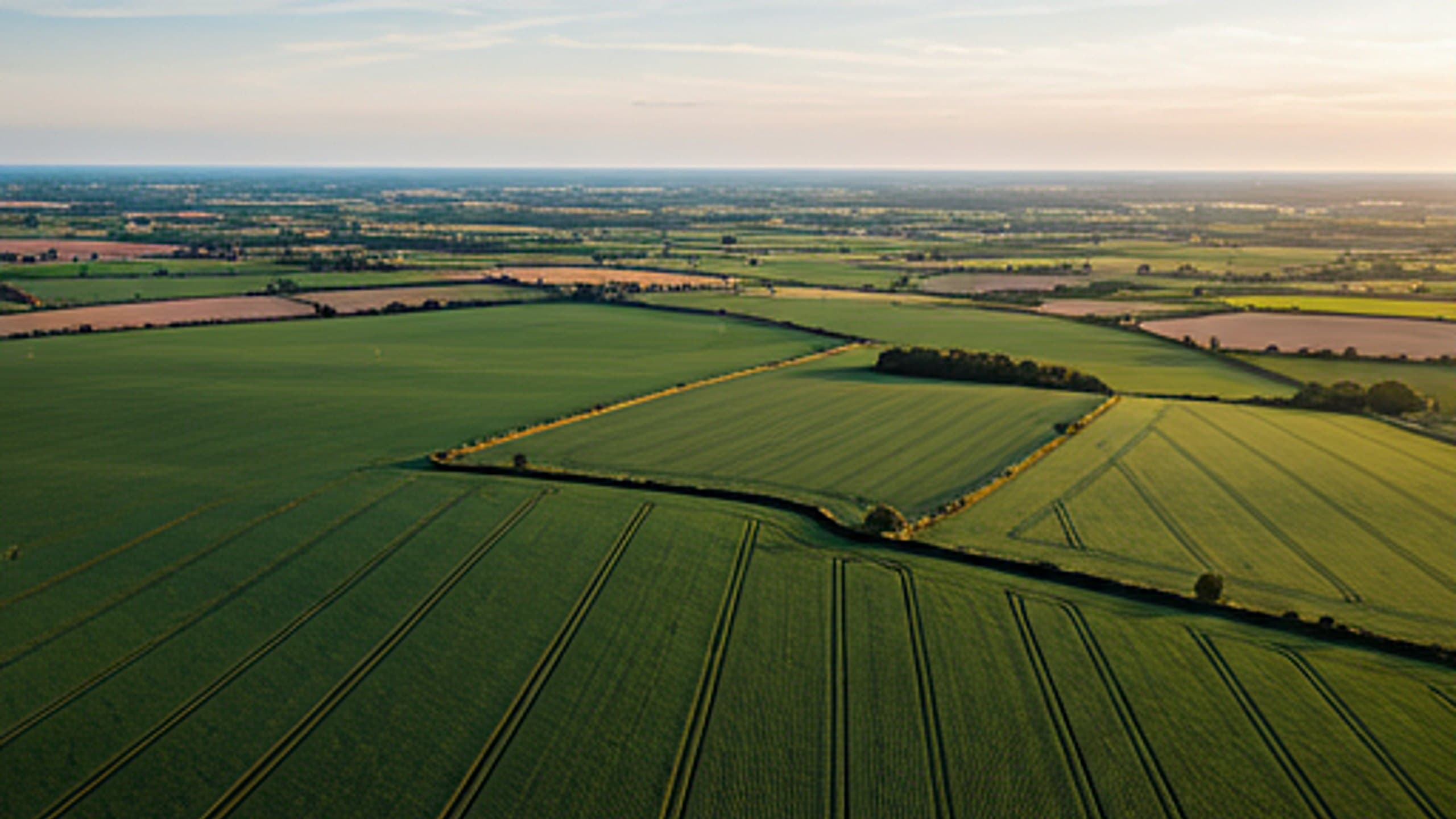 Aerial view of structured agricultural landscape in the UK, patchwork fields of varying crops, sustainable farming aesthetic.